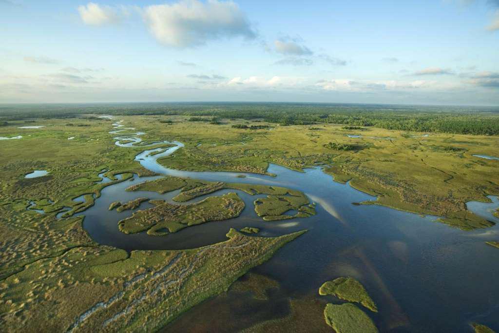 Everglades Airboat Adventure - Photo 4