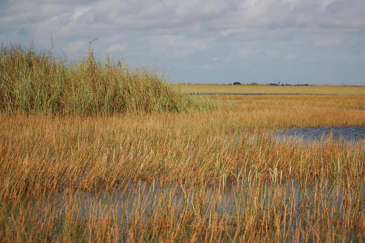 Everglades Airboat Adventure - Photo 10