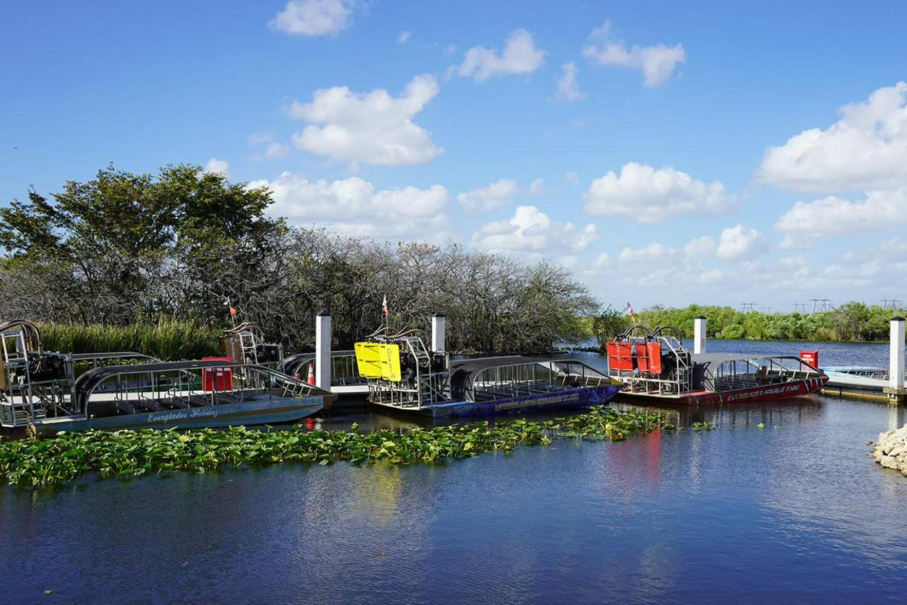 Everglades Airboat Adventure - Photo 11
