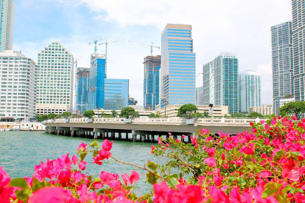 Miami Sightseeing Tour plus Biscayne Bay Boat Tour - Photo 2