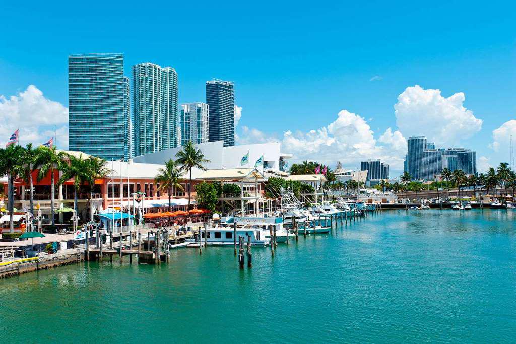Miami Sightseeing Tour plus Biscayne Bay Boat Tour - Photo 4