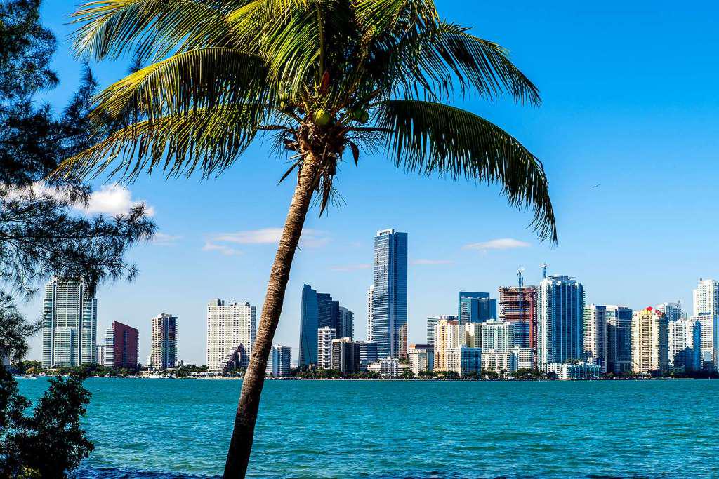 Miami Sightseeing Tour plus Biscayne Bay Boat Tour - Photo 8