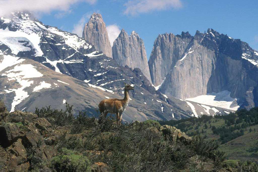 Parque Nacional Torres del Paine - Photo 2