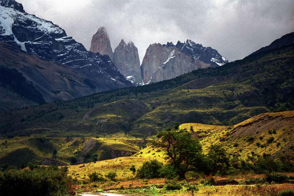 Parque Nacional Torres del Paine - Photo 4