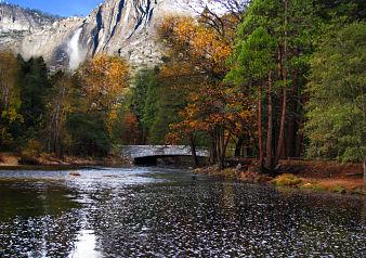 Yosemite National Park - Full Day Tour - Photo 2