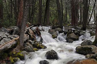Yosemite National Park - Full Day Tour - Photo 5