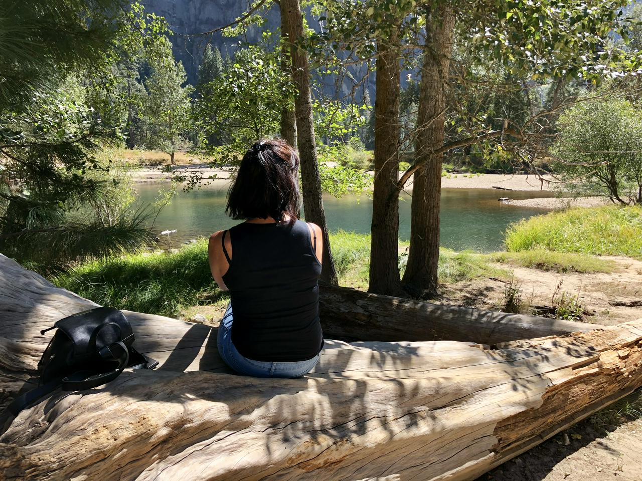 Yosemite National Park - Full Day Tour - Photo 7