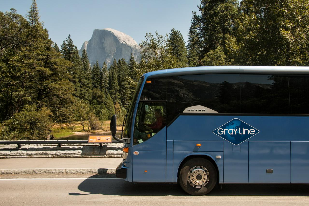 Yosemite National Park - Full Day Tour - Photo 9
