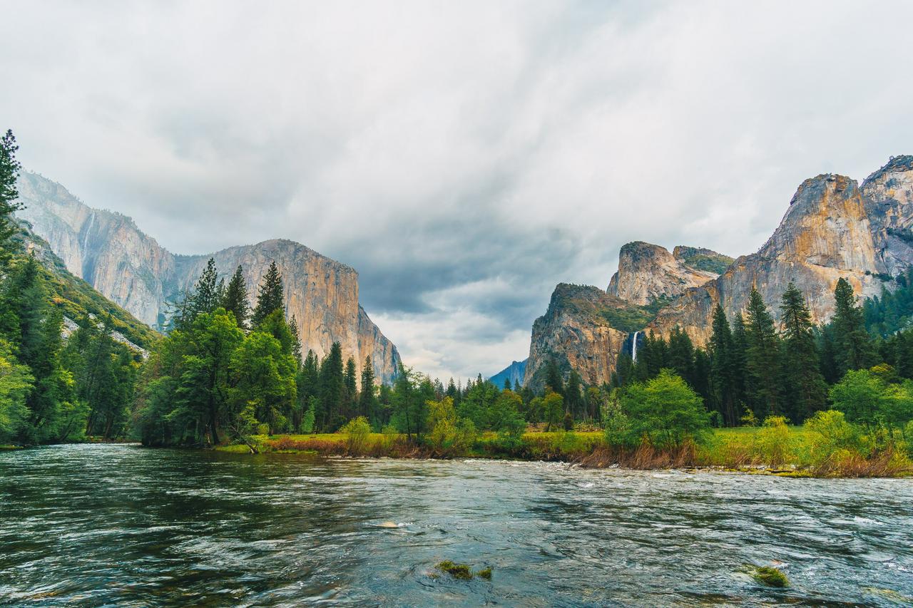 Yosemite National Park - Full Day Tour - Photo 11