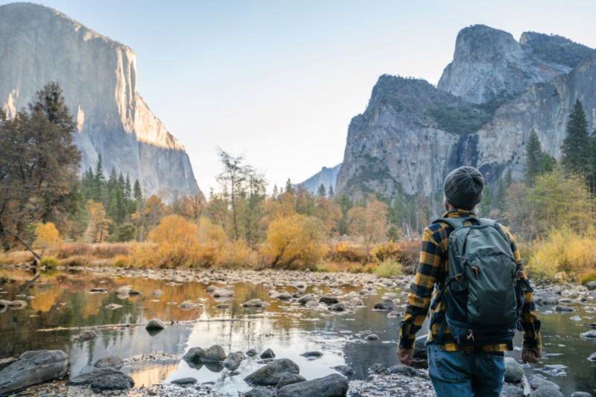 Yosemite National Park - Full Day Tour - Photo 12