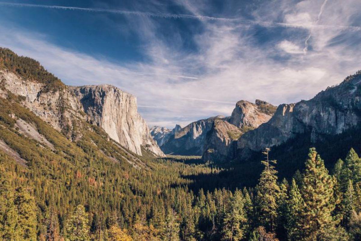 Yosemite National Park - Full Day Tour - Photo 13