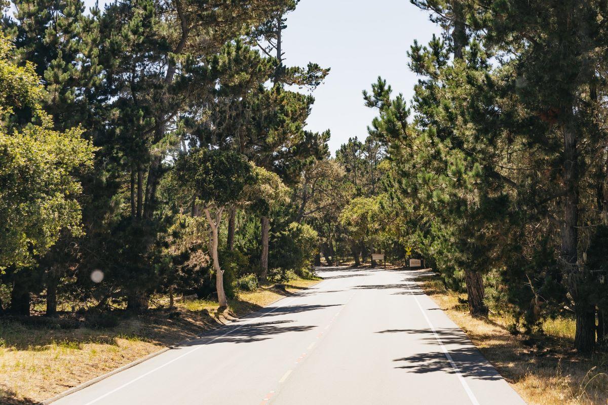 Monterey, Carmel and The 17-Mile Drive - Full-Day Tour - Photo 12