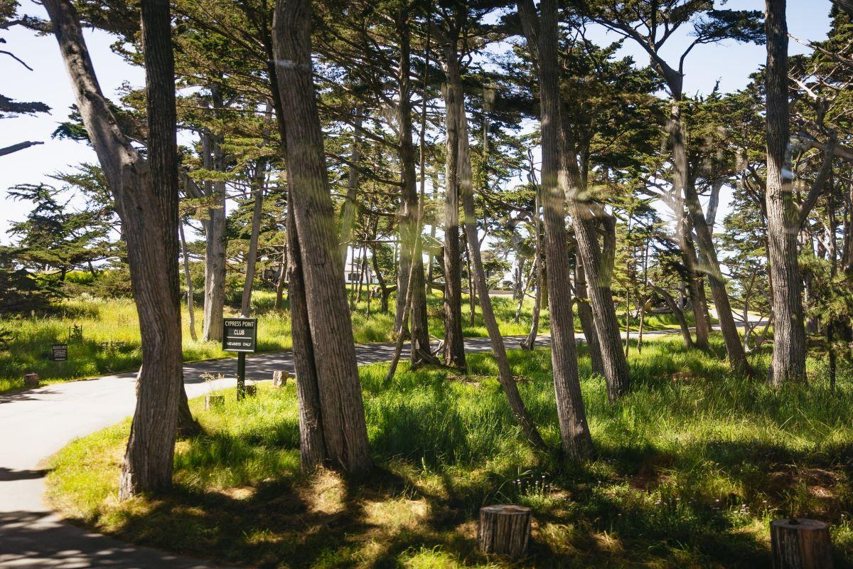 Monterey, Carmel and The 17-Mile Drive - Full-Day Tour - Photo 16