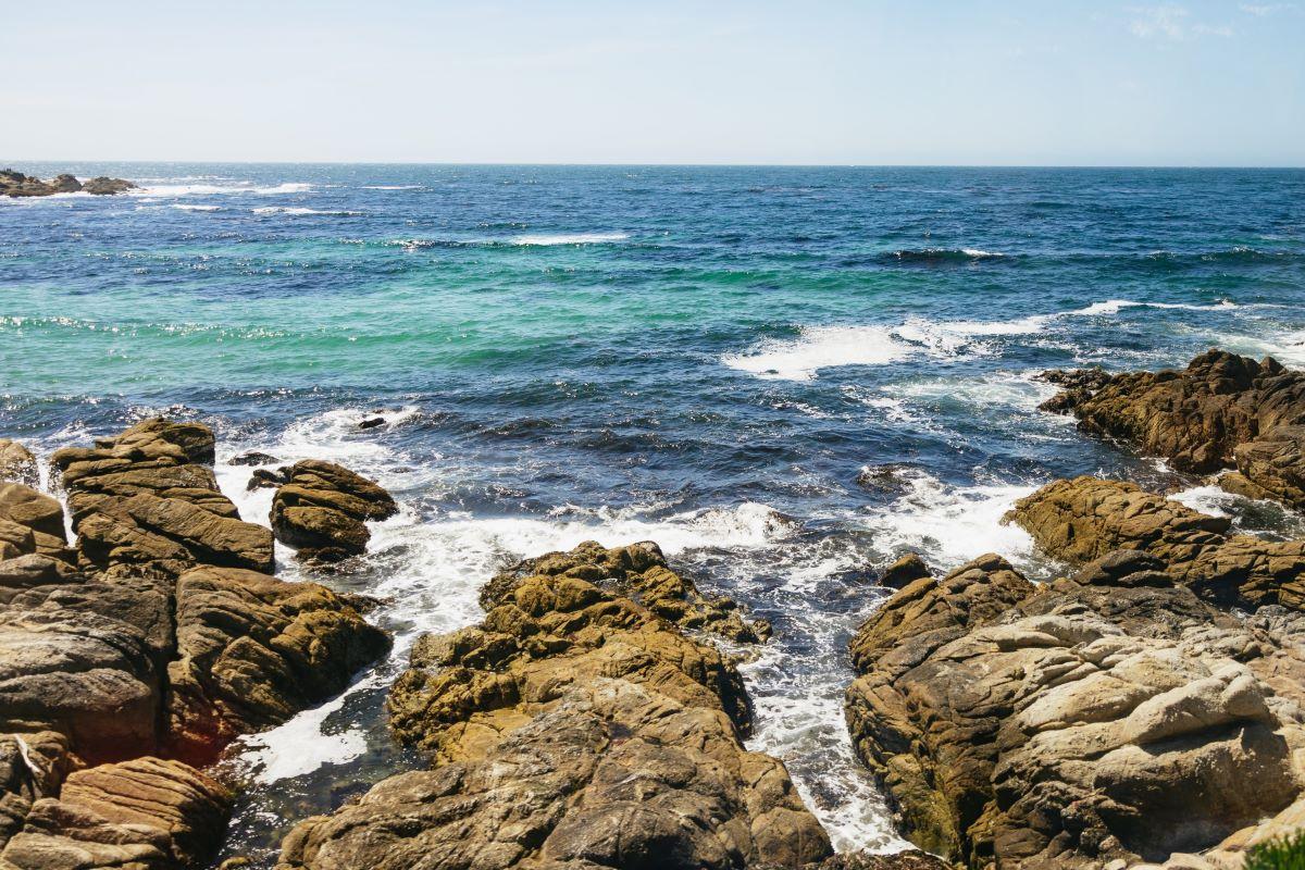 Monterey, Carmel and The 17-Mile Drive - Full-Day Tour - Photo 17
