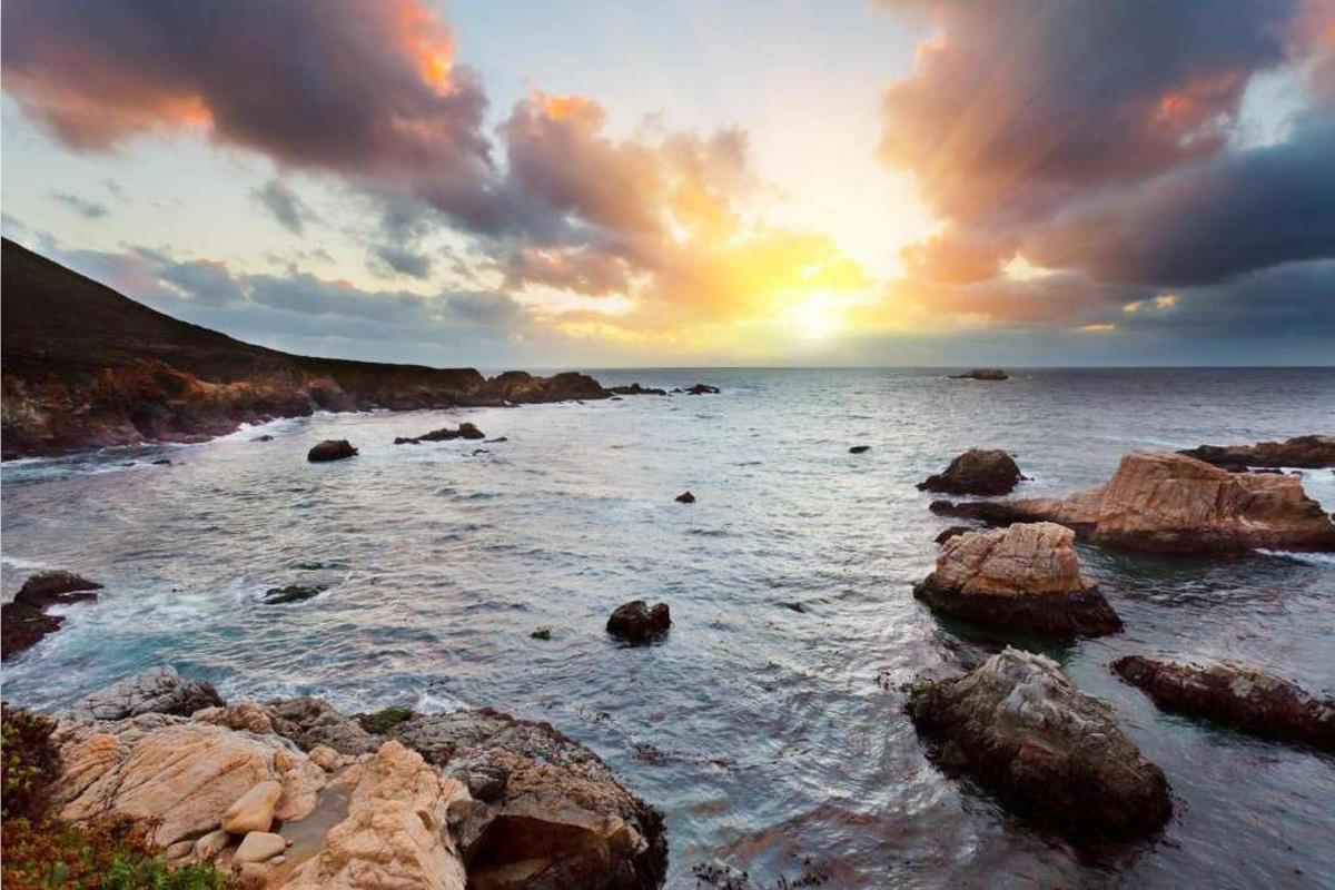 Monterey, Carmel and The 17-Mile Drive - Full-Day Tour - Photo 22