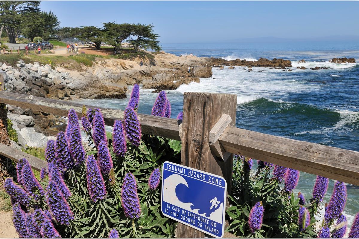 Monterey, Carmel and The 17-Mile Drive - Full-Day Tour - Photo 24