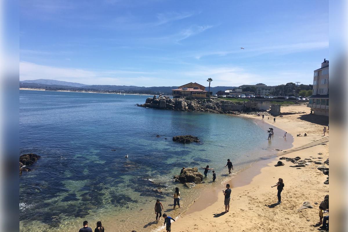 Monterey, Carmel and The 17-Mile Drive - Full-Day Tour - Photo 25