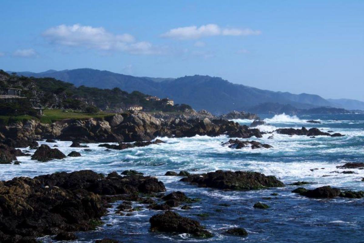 Monterey, Carmel and The 17-Mile Drive - Full-Day Tour - Photo 27