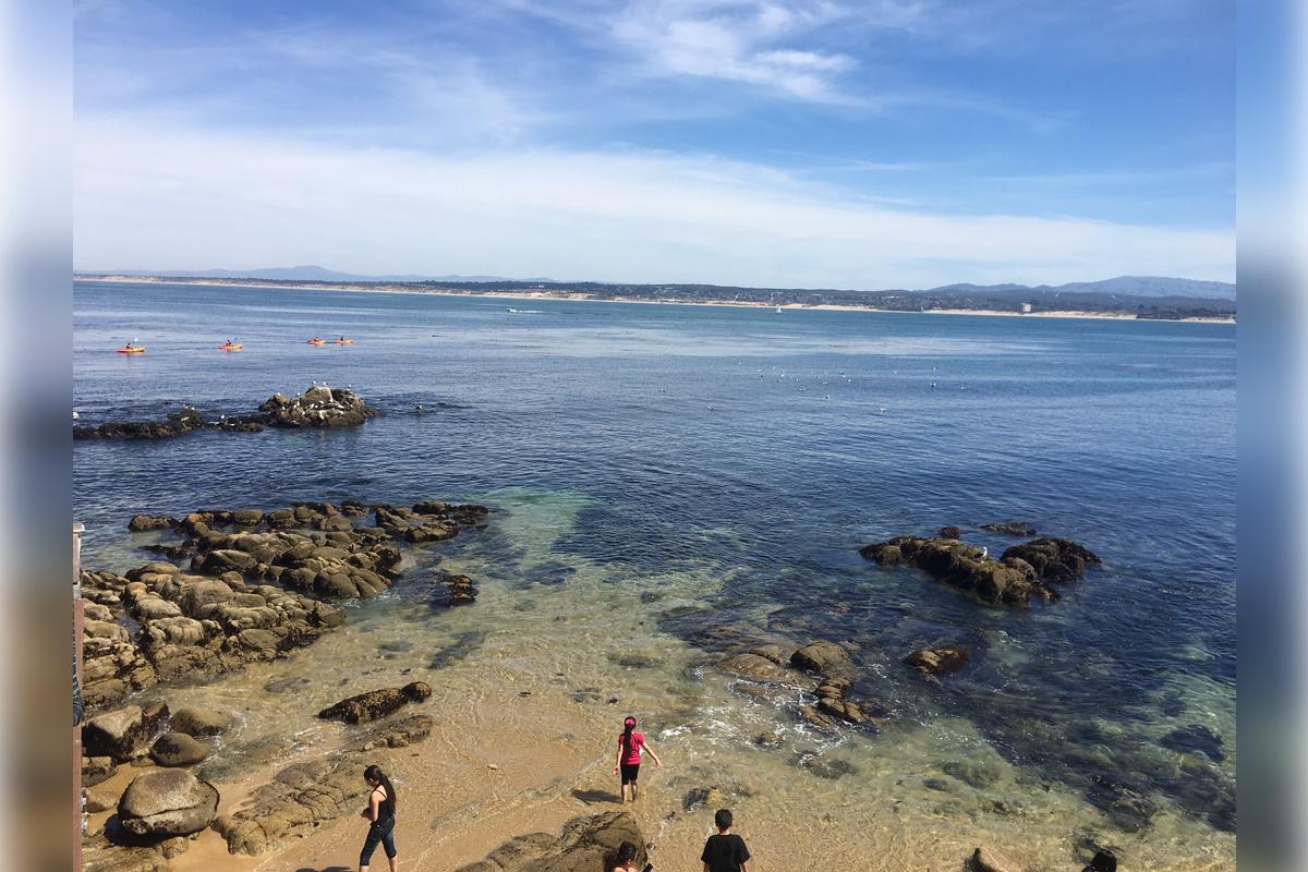 Monterey, Carmel and The 17-Mile Drive - Full-Day Tour - Photo 31