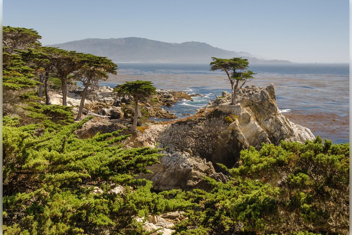 Monterey, Carmel and The 17-Mile Drive - Full-Day Tour - Photo 35