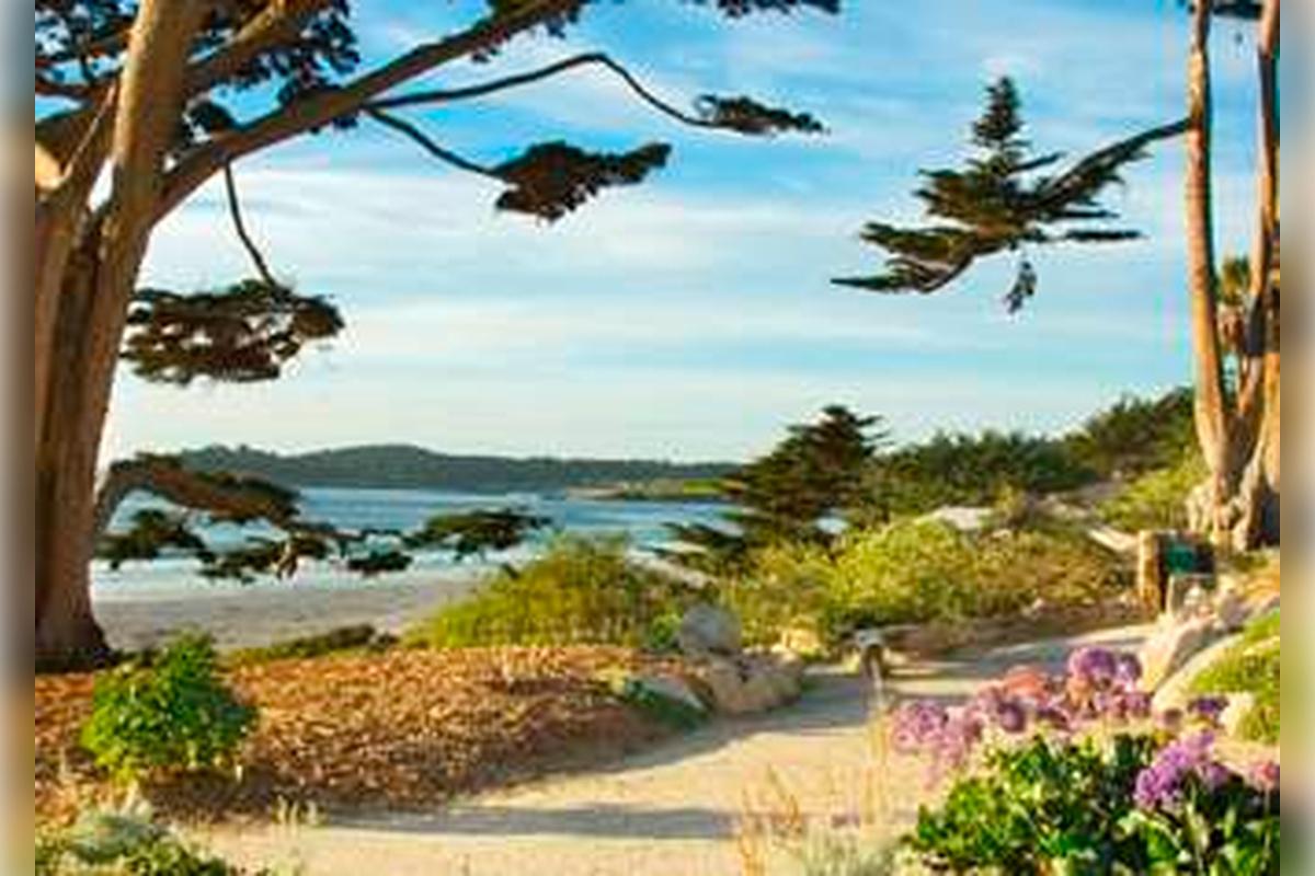 Monterey, Carmel and The 17-Mile Drive - Full-Day Tour - Photo 37