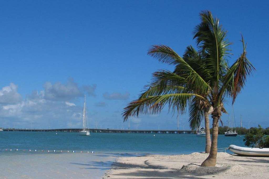 Um Dia em Key West com Passeio de Barco com Fundo de Vidro - Photo 6