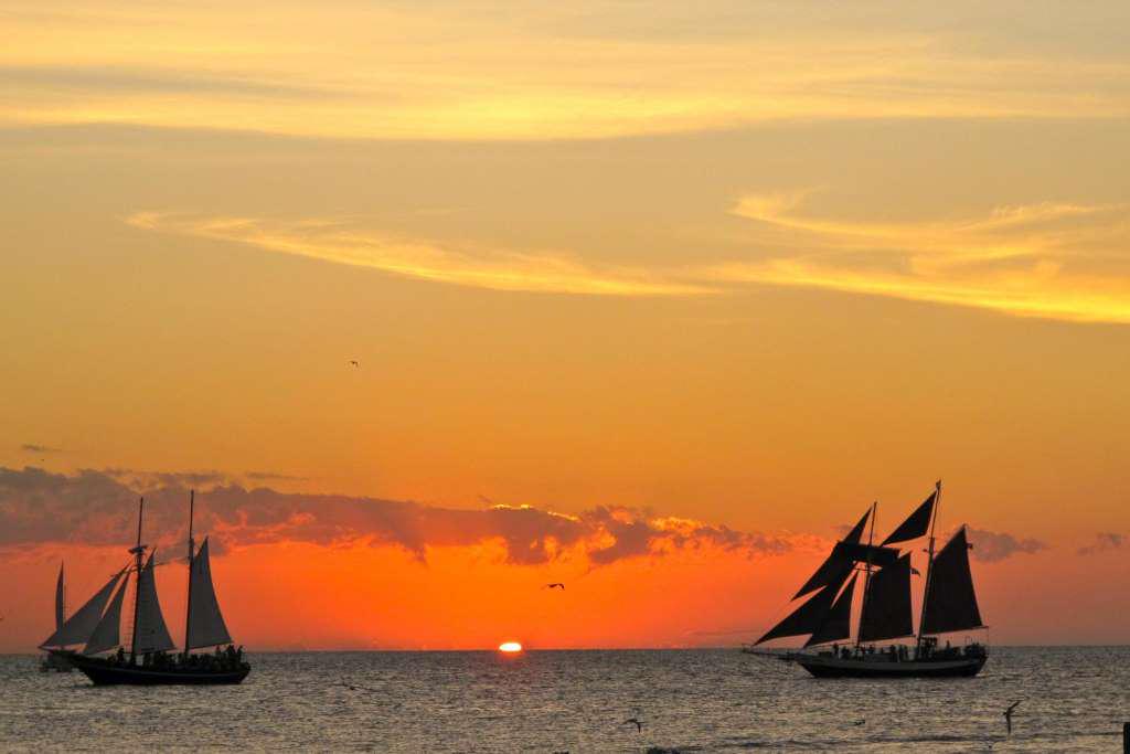 Um Dia em Key West com Parapente - Photo 4