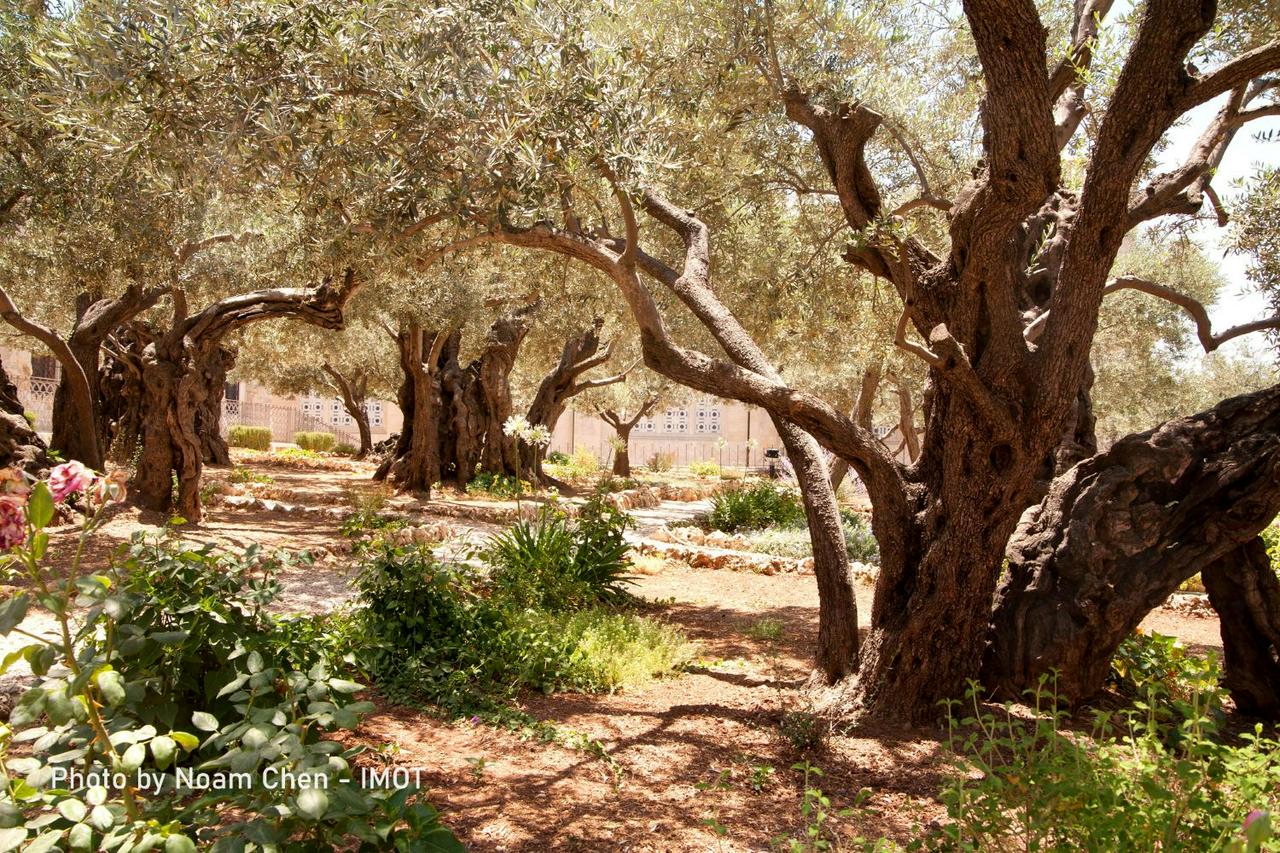 Old and New Jerusalem Tour - Full Day Tour - Photo 10
