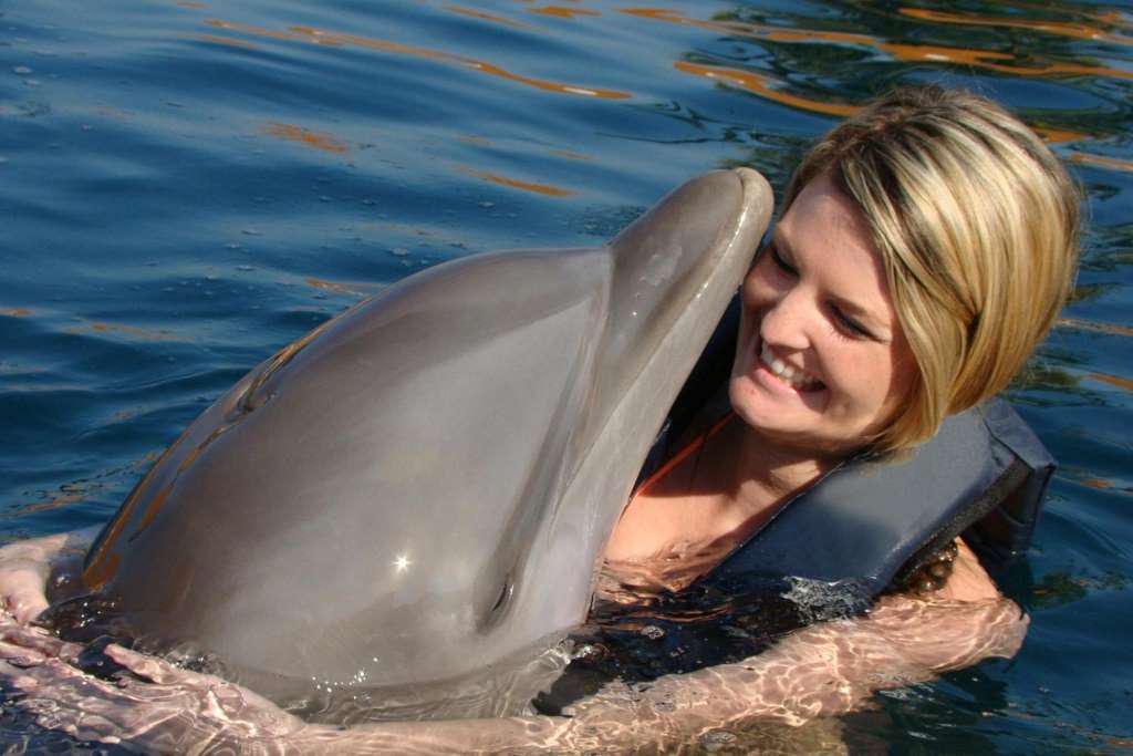 Swim with Dolphins Adventure Swim - Photo 2