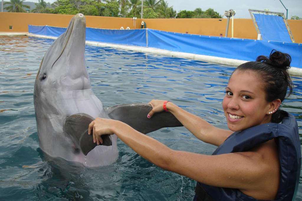 Swim with Dolphins Adventure Swim - Photo 4