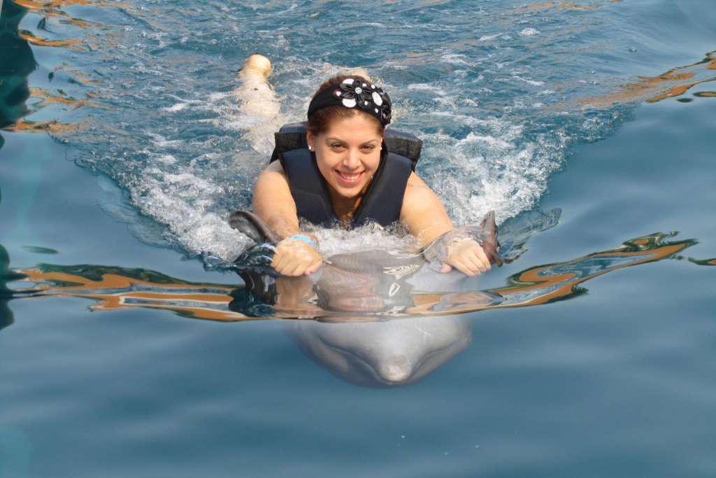 Swim with Dolphins Adventure Swim - Photo 5