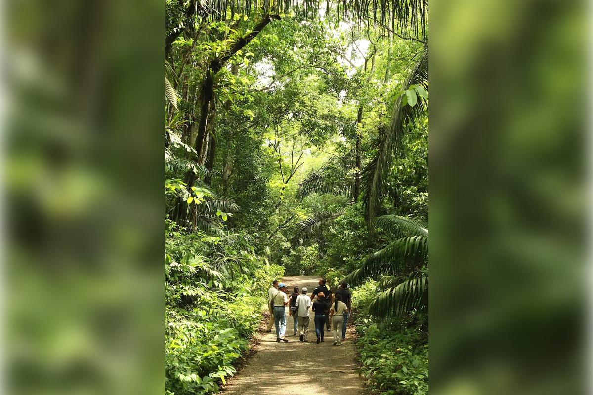 Monkey Island and Eco Tour - Photo 5