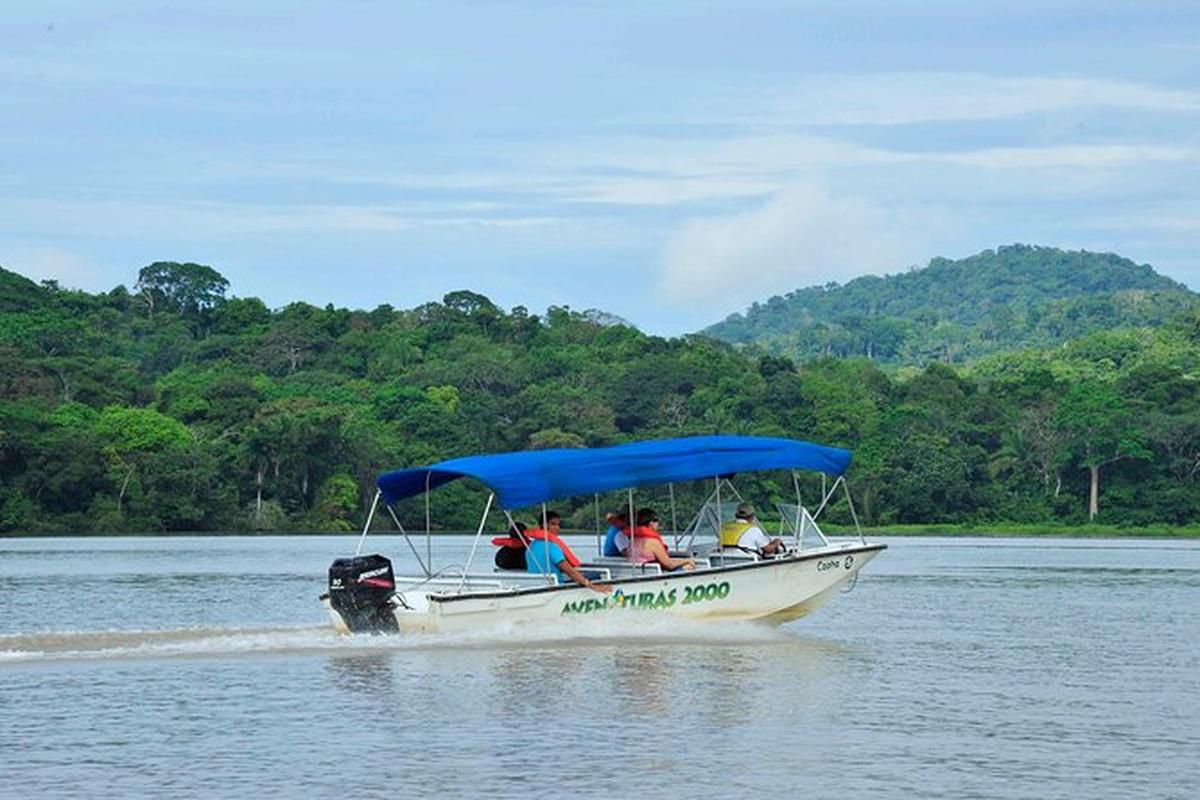 Monkey Island and Eco Tour - Photo 7