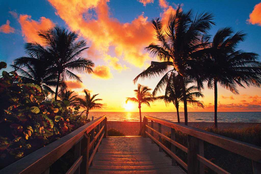 Um dia em Key West com Bondinho - Photo 4
