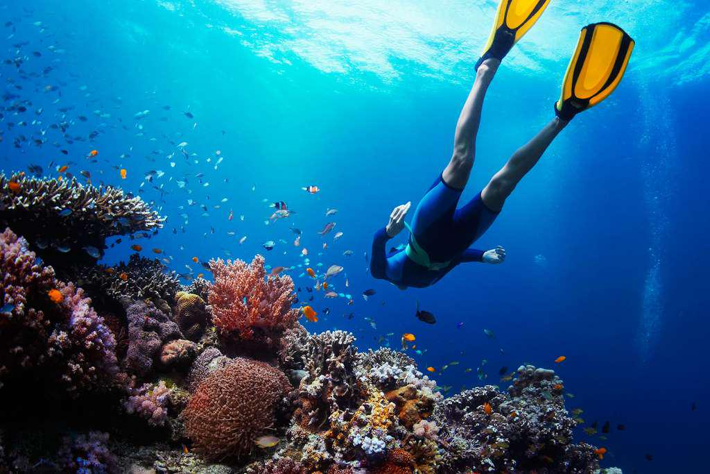 Um Dia em Key West com Aventura de Snorkel - Photo 6