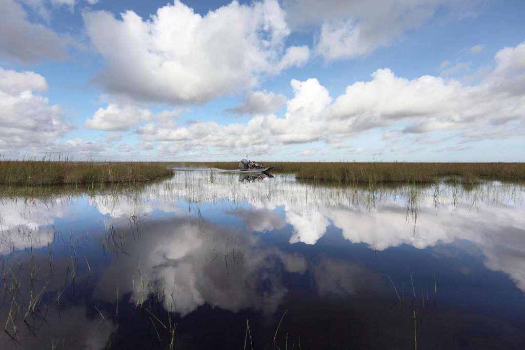 Entrada para Everglades Sawgrass - experiência única !! - Photo 4