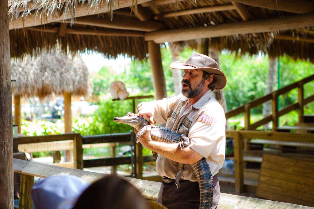Entrada para Everglades Sawgrass - experiência única !! - Photo 7