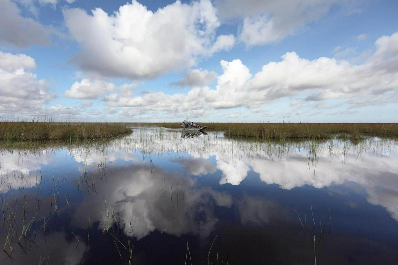 Entrada para Everglades Sawgrass - experiência única !! - Photo 12