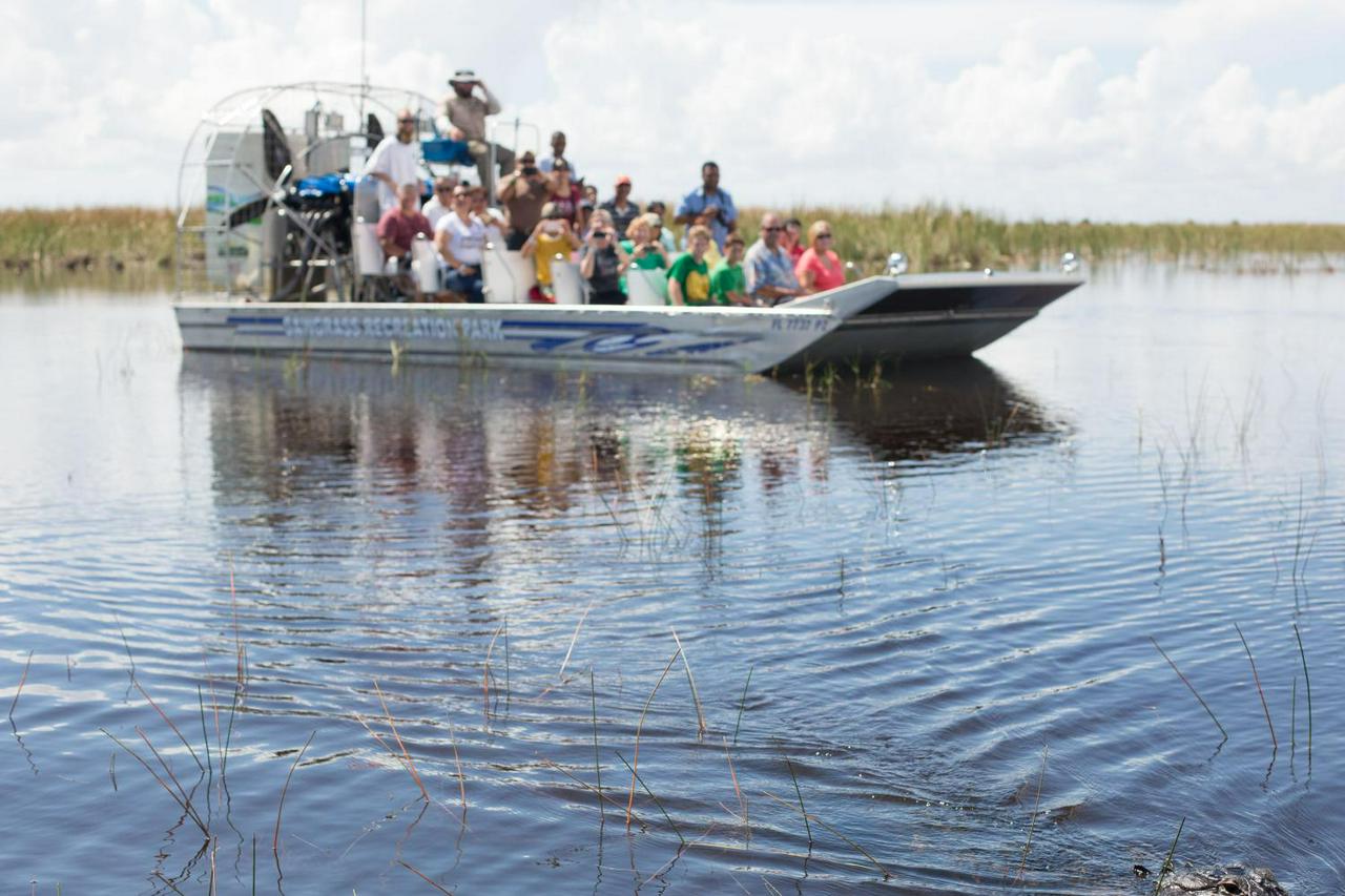 Entrada para Everglades Sawgrass - experiência única !! - Photo 15