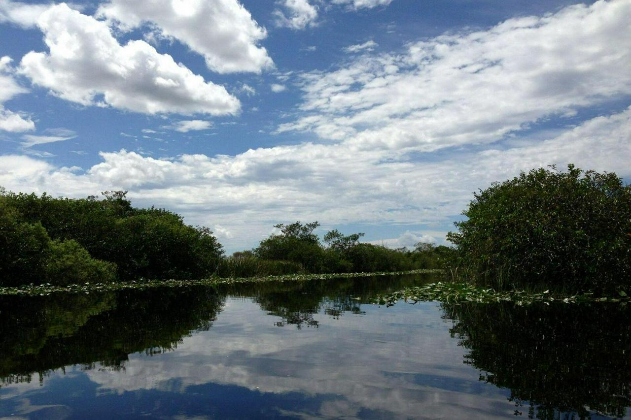 Entrada para Everglades Sawgrass - experiência única !! - Photo 16