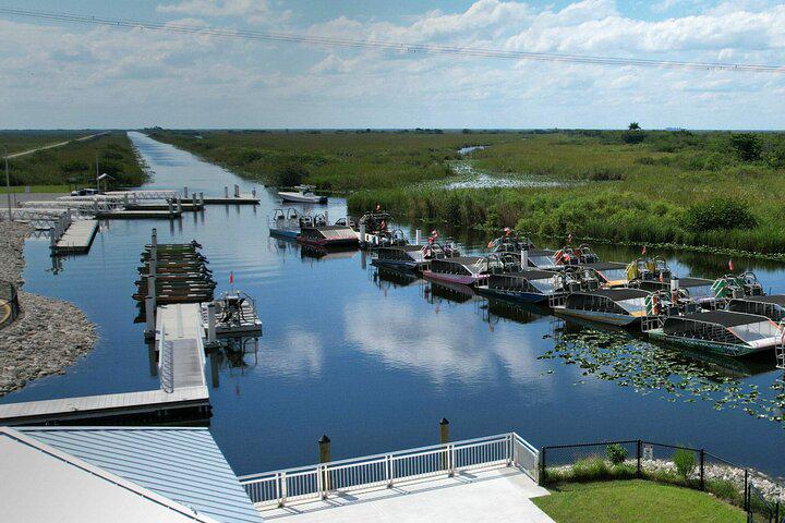 Entrada para Everglades Sawgrass - experiência única !! - Photo 24