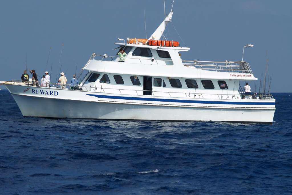 Pesca Esportiva em Miami - Photo 5