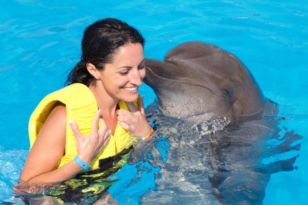 Nado com Golfinhos: Dolphin Royal Swim - Puerto Aventuras - Photo 4
