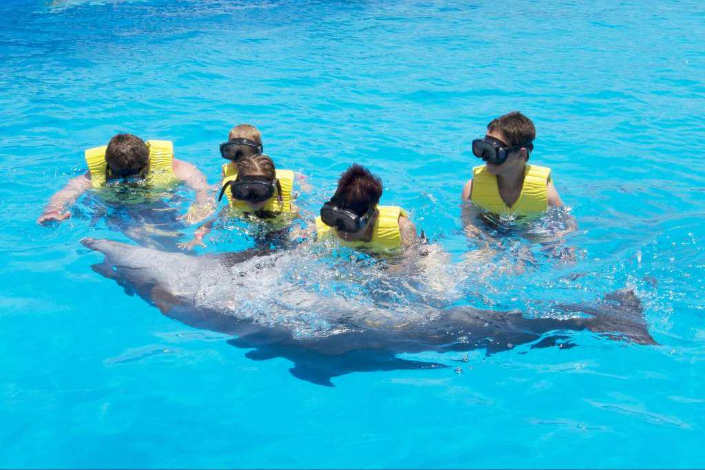 Nado com Golfinhos: Dolphin Royal Swim - Puerto Aventuras - Photo 6