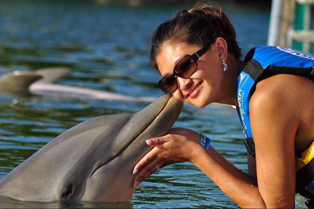 Nado com Golfinhos: Dolphin Royal Swim - Puerto Aventuras - Photo 9