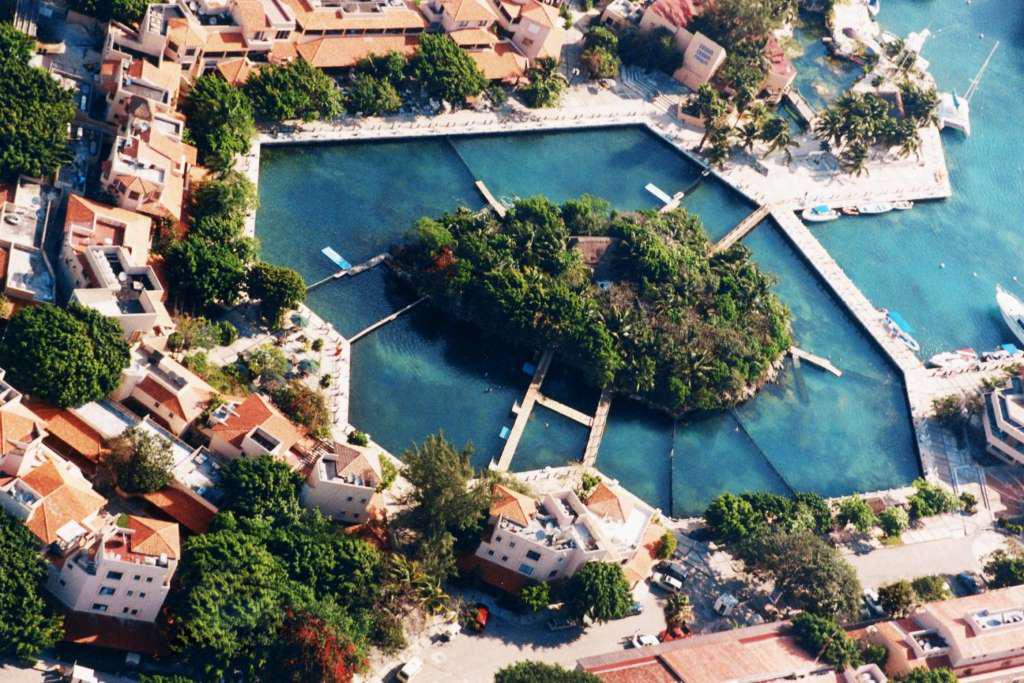 Nado com Golfinhos: Dolphin Royal Swim - Puerto Aventuras - Photo 10