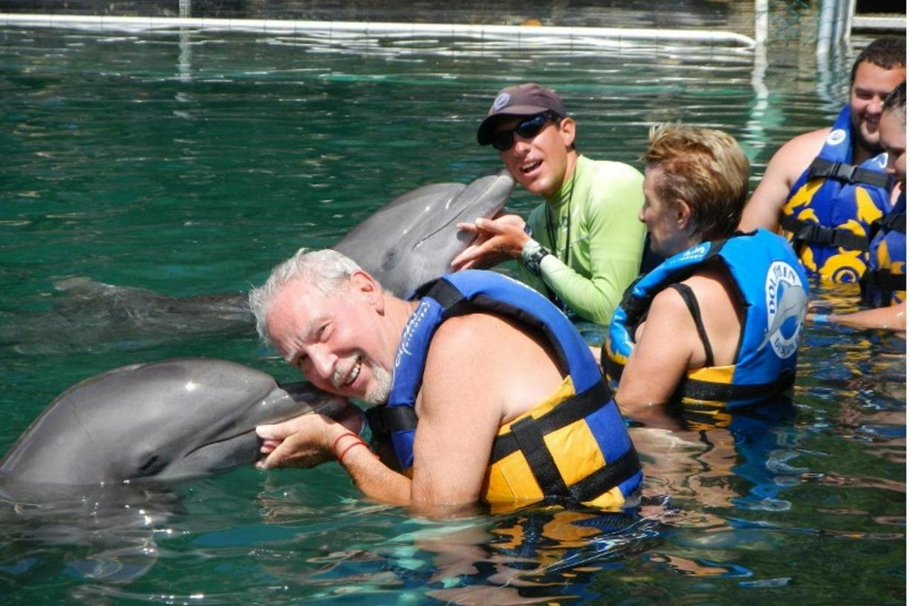 Dolphin Encounter in Puerto Aventuras - Photo 2