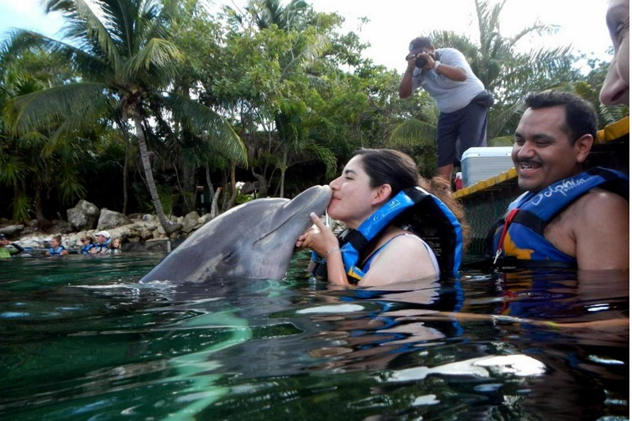 Dolphin Encounter in Puerto Aventuras - Photo 4