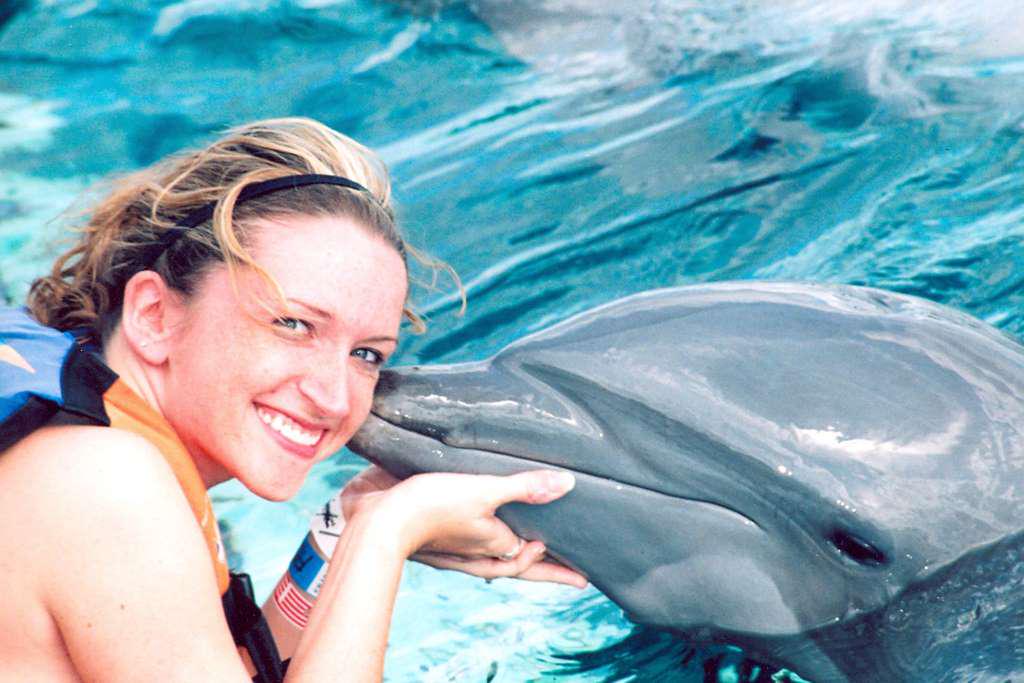 Dolphin Encounter in Puerto Aventuras - Photo 6