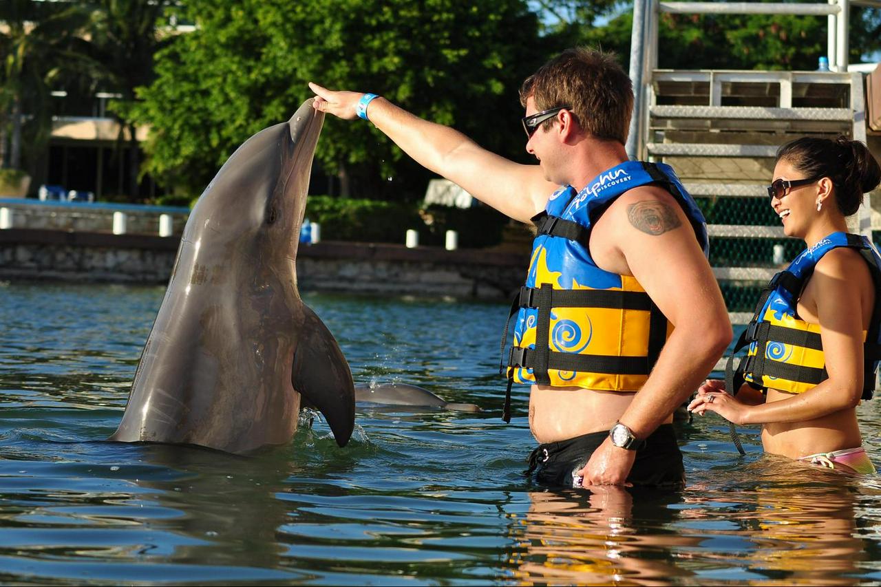 Dolphin Encounter in Puerto Aventuras - Photo 7